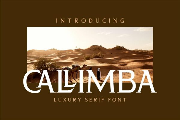 现代奢华品牌徽标Logo海报标题设计衬线英文字体素材 Callimba Font