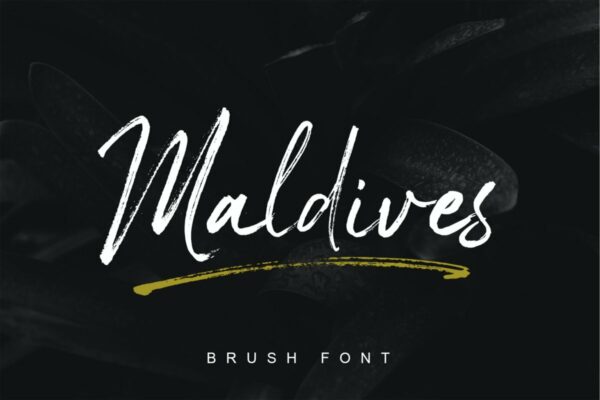 时尚优雅杂志海报标题品牌logo设计手写字体脚本 Maldives Handbrush Font
