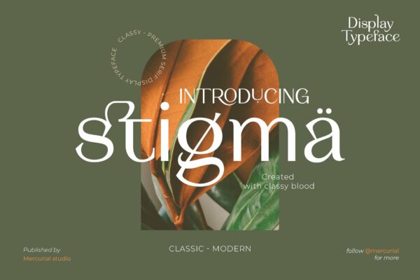 现代优雅杂志标题徽标Logo无衬线英文字体设计素材 Stigma – Display Serif Font