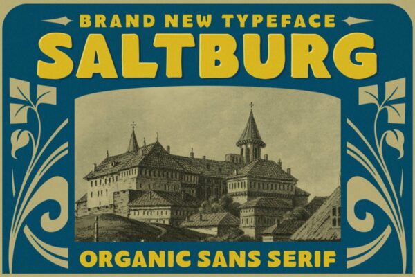 复古海报标题徽标Logo设计无衬线英文字体素材 Saltburg – Organic Sans Serif