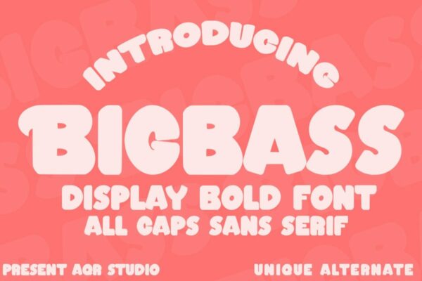 时尚可爱品牌目录设计无衬线英文字体素材 Bigbass – Display Bold Font