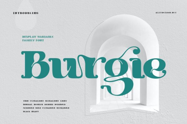 潮流复古酸性逆反差海报标题Logo英文字体设计素材 Burgie Font