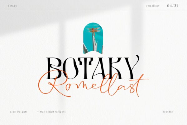 潮流酸性杂志标题徽标Logo设计无衬线英文字体素材 Botaky Romellast