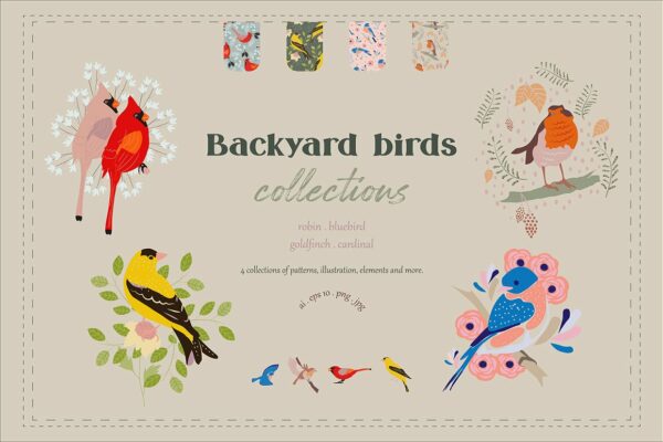 可爱鸟类手绘剪贴画矢量设计素材合集 Backyard Birds Collections