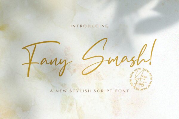 现代精致杂志海报邀请函设计手写英文字体素材 Fany Smash – Handwritten Font