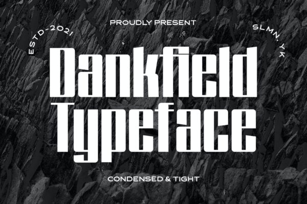 现代简约杂志时装徽标logo设计无衬线英文字体素材 Dankfield – Modern Condensed Font