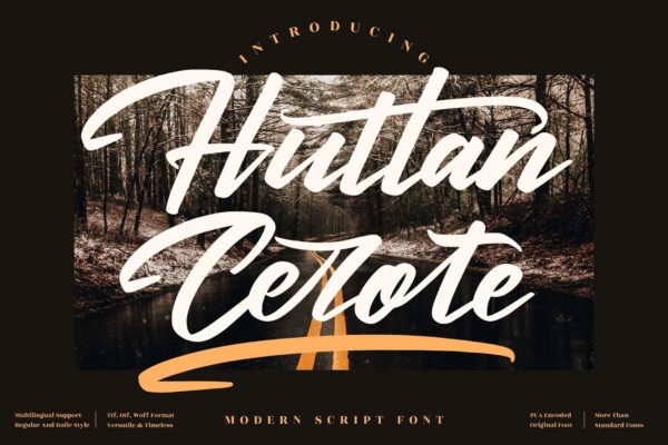 现代优雅海报品牌徽标logo设计衬线英文字体素材 Huttan Cerote Script Font LS