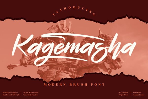 现代海报商标品牌设计衬线英文字体素材 Kagemasha Brush LS