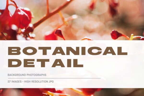 44款高清光照散景风景植物PS叠加层背景图片设计素材 Botanical Detail – Background Photographs