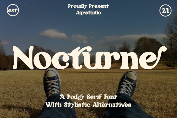 时尚优雅海报标题徽标Logo衬线英文字体素材 Nocturne – Podgy Serif Font