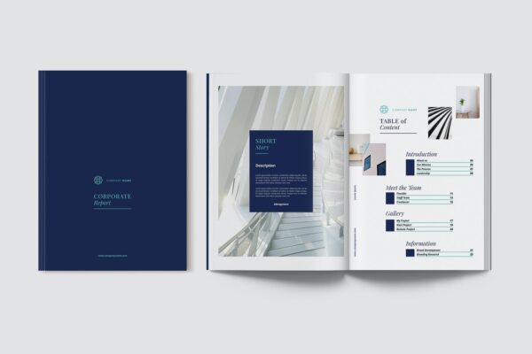 现代优雅企业年度报告书设计INDD画册模板 Corporate Report