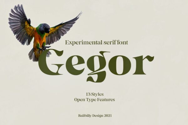 优雅杂志海报徽标logo设计衬线英文字体素材 Gegor Serif Display Font