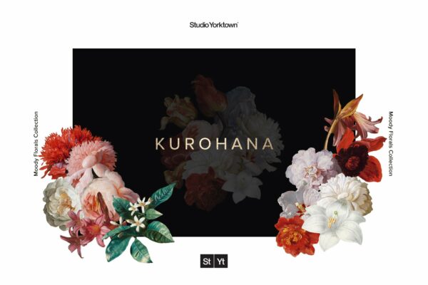 50多种高清复古花卉平面设计PNG透明免抠图片集合 Kurohana – Moody Florals Collection-第486期-
