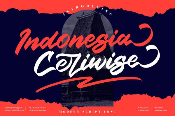 现代时尚海报品牌徽标logo设计衬线字体素材 Indonesia Ceriwise Script LS