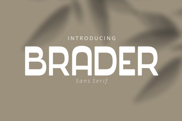 优雅品牌商标标题设计无衬线英文字体 Brader Display Font