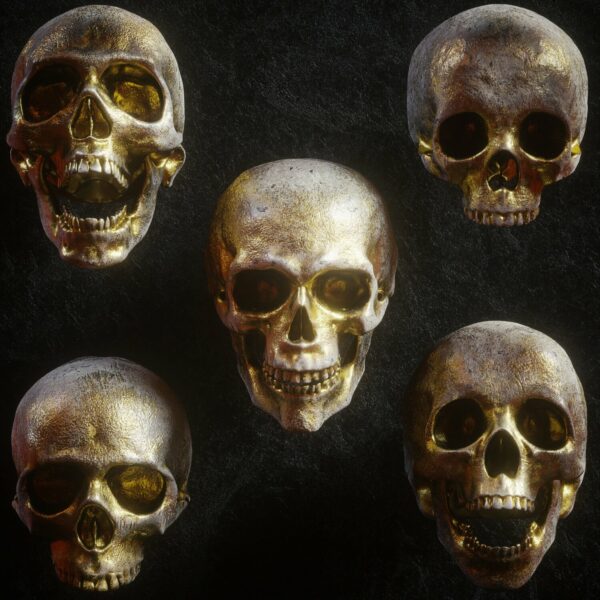 Skull Models 炫酷3D渲染人类头骨骷髅FBX模型素材 -第504期-