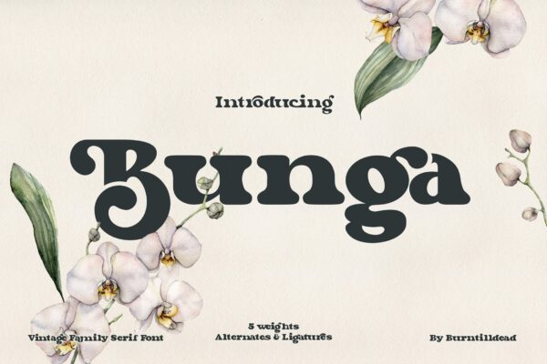 复古杂志标志标识设计衬线英文字体 Bunga-第1649期-