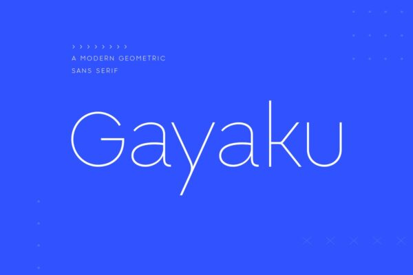 现代杂志标识徽标logo设计无衬线英文字体 Gayaku – Modern Sans Serif Font-第1649期-