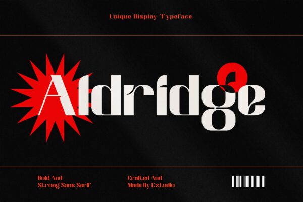 潮流逆反差杂志海报徽标logo设计无衬线英文字体 Unique Display Font – Aldridge-第1428期