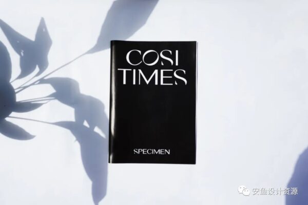 现代时尚奢侈品大牌惯用海报杂志排版英文字体 Nikolas Type – Cosi Times-第1433期-