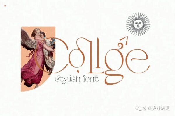 复古经典奢华女性婚礼海报杂志排版英文衬线字体 Alcode – Collge Serif-第1433期-