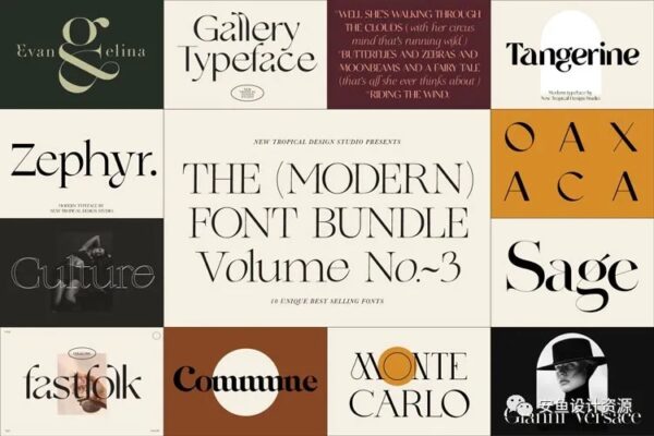 时尚优雅系列！精选10套奢华酸性字体合集（3）The Modern Font Bundle Vol.3 -第1105期-