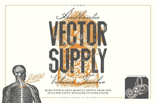 复古手绘人体器官插画素材Unember Vector Supply Volume 12-第1471期-