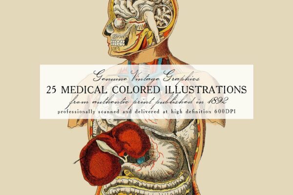 精美的复古医学插图25 Medical Colored Illustrations-第1471期-