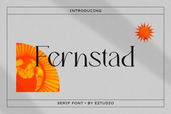 优雅轻奢现代时尚Logo杂志海报标题衬线英文字体素材 Fernstad Elegant Serif Font-第963期-