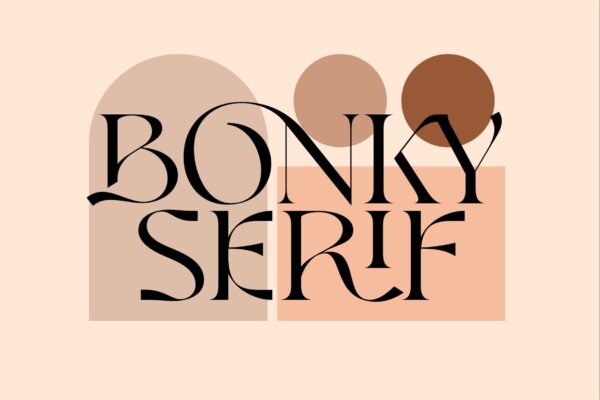 优雅品牌标题徽标logo设计衬线英文字体 Bonky serif-第1840期-