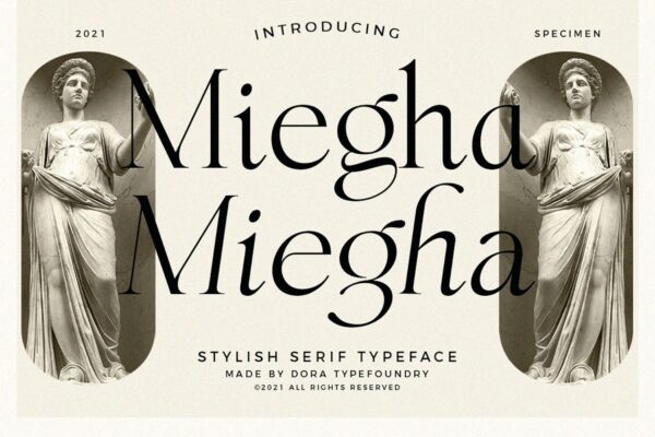 现代优雅杂志品牌包装设计衬线英文字体 Miegha-第1840期-