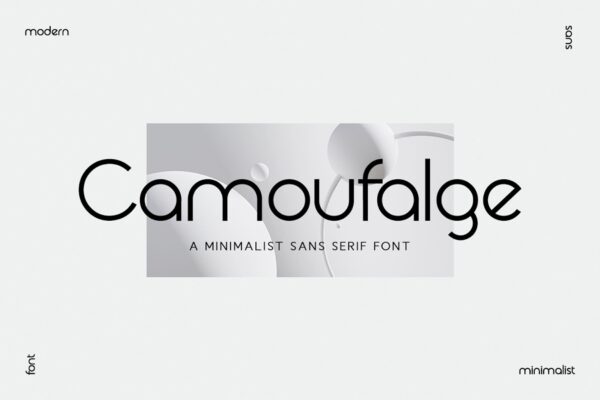 优雅杂志标识广告设计无衬线英文字体Camaufalge Modern Minimalism Font-第1840期-