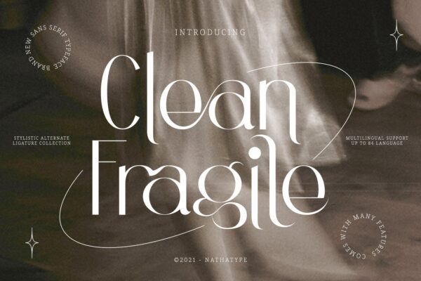 现代奢华杂志品牌徽标logo设计无衬线字体 Clean Fragile-第1814期-