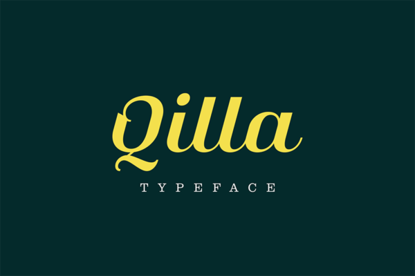 复古圆润画册杂志标题Logo衬线英文字体设计素材 Qilla Serif-第963期-
