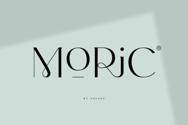 复古优雅的极简主义女性婚礼英文无衬线字体 Moric Typeface-第2101期-
