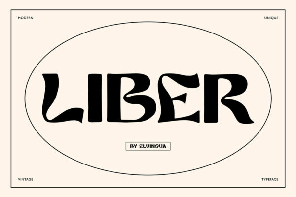 现代复古杂志海报徽标logo设计装饰性英文字体 Liber retro font-第2101期-