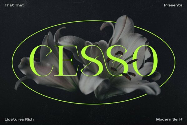 复古艺术创意品牌设计海报杂志排版英文衬线字体 Cesso: Ligature Serif-第1993期-