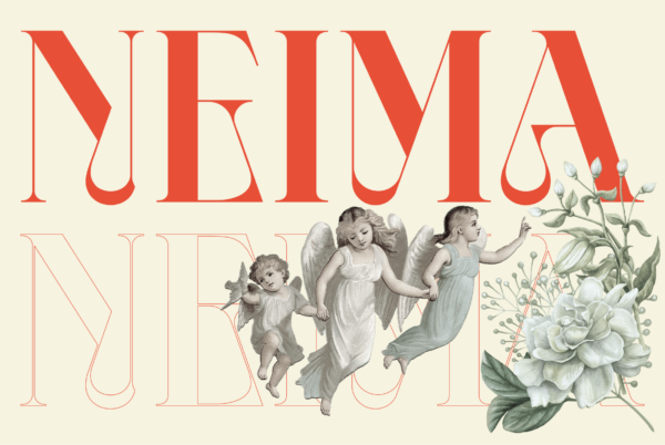 时尚复古杂志品牌标识设计衬线英文字体 NEIMA Font -第2231期-