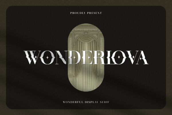 优雅简约品牌标志徽标logo设计衬线英文字体 Wonderlova – Wonderful Display Serif