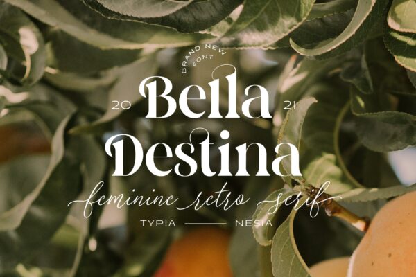 优雅杂志品牌标志设计衬线英文字体 Bella Destina – Beauty Romantic Serif Font
