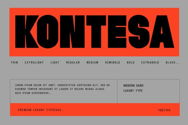 现代超浓缩无衬线简约大气海报排版标题Logo设计字体Kontesa Display Typeface-第2461期-