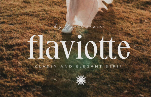 简约优雅唯美的海报画册Logo标题品牌衬线排版英文字体Flaviotte – Beauty Vintage Elegant Serif-第2494期-