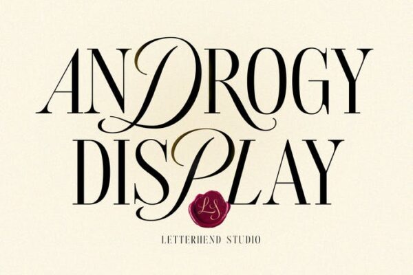 复古优雅逆反差手写品牌海报标题logo排版英文字体Androgy Display-第2641期-
