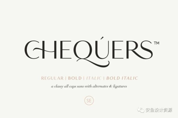 优雅轻奢时尚Logo杂志海报标题无衬线英文字体素材 Chequers – Modern Sans Serif-第1007期-