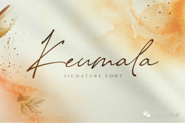 现代优雅杂志徽标Logo手写英文字体设计素材 Keumala – Script Signature Font-第1007期-