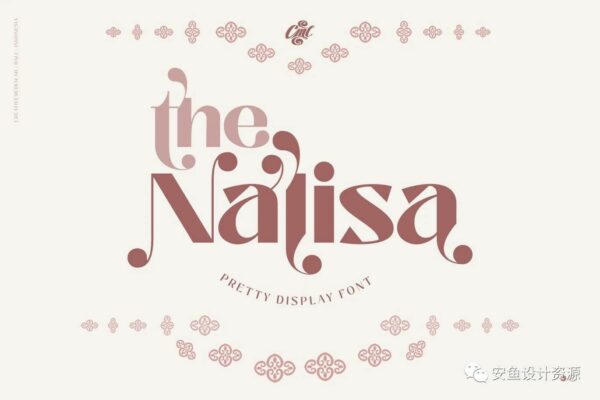 时尚优雅杂志标题徽标Logo装饰英文字体素材 Nalisa Font – Beauty Display Font-第1007期-