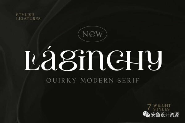 优雅古典轻奢时尚品牌Logo海报标题装饰英文字体素材 Laginchy – Quirky Serif-第1007期-