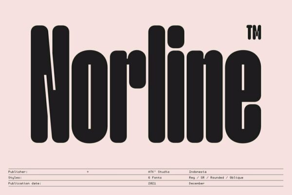 12款现代极简浓缩运动杂志海报Logo标题圆角无衬线英文字体家族Norline-第2823期-
