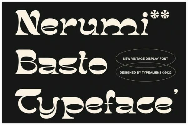 现代趣味复古艺术海报画册Logo标题衬线英文Logo标题字体Nerumi Basto-第2724期-