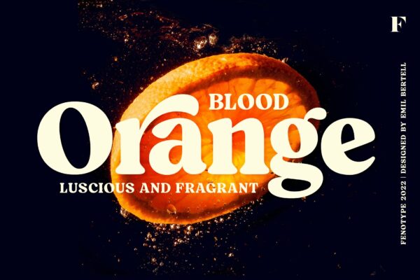 复古圆润90年代艺术海报排版西文衬线字体家族Blood Orange Vintage Serif-第2979期-